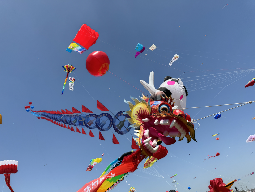 万物皆可飞:潍坊国际风筝会上"显眼包"云集