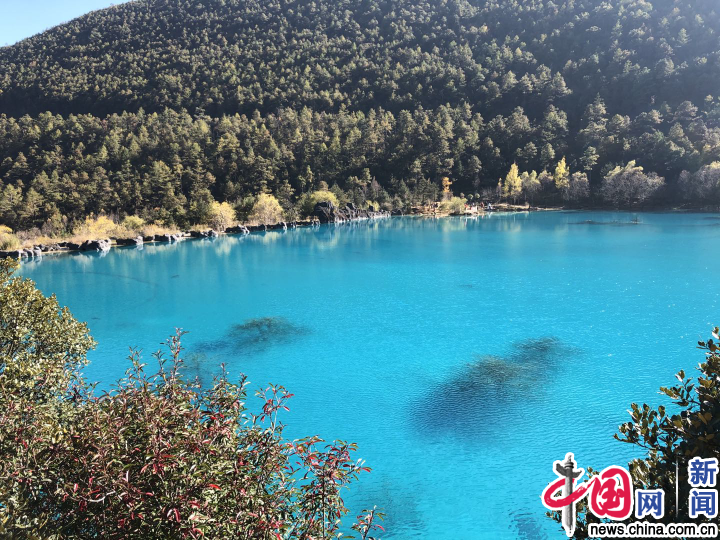 蓝月谷四周植被茂盛，生态环境优美。中国网记者 严星／摄