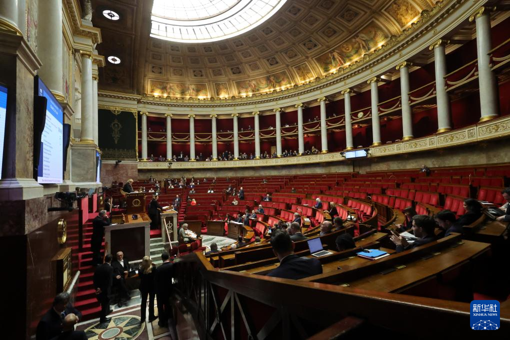 这是1月14日在法国首都巴黎拍摄的国民议会会议现场。新华社发（亨利·施瓦茨摄）