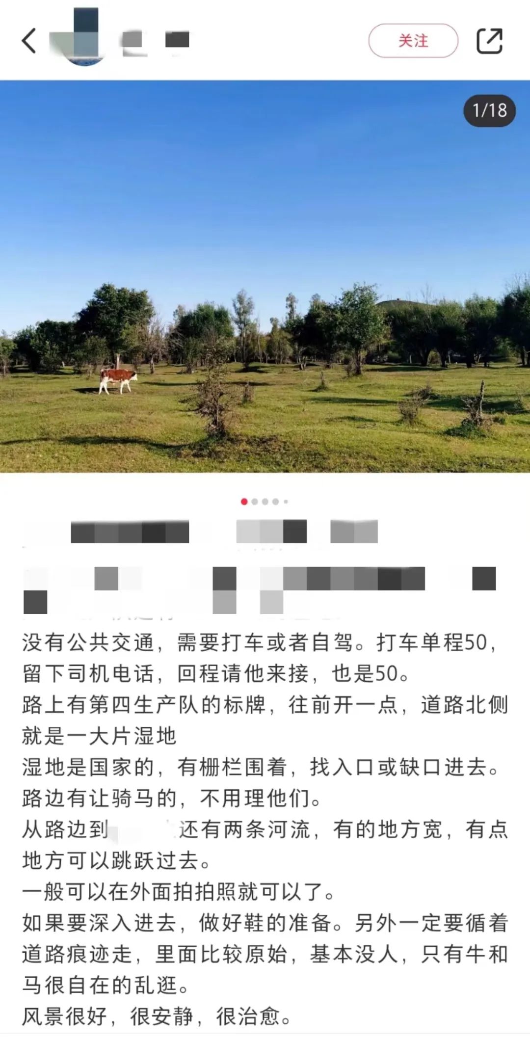 旅游攻略帖推荐“免费湿地景观”。