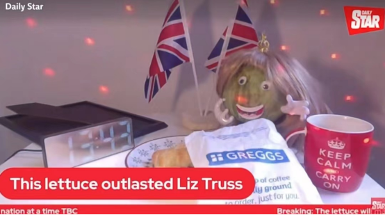 《每日星报》曾开直播将特拉斯任期和生菜保质期对比、探究谁更长久。 图源:《每日星报》直播截图