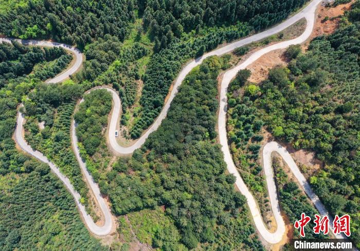 航拍贵州从江乡村公路蜿蜒起伏春色迷人