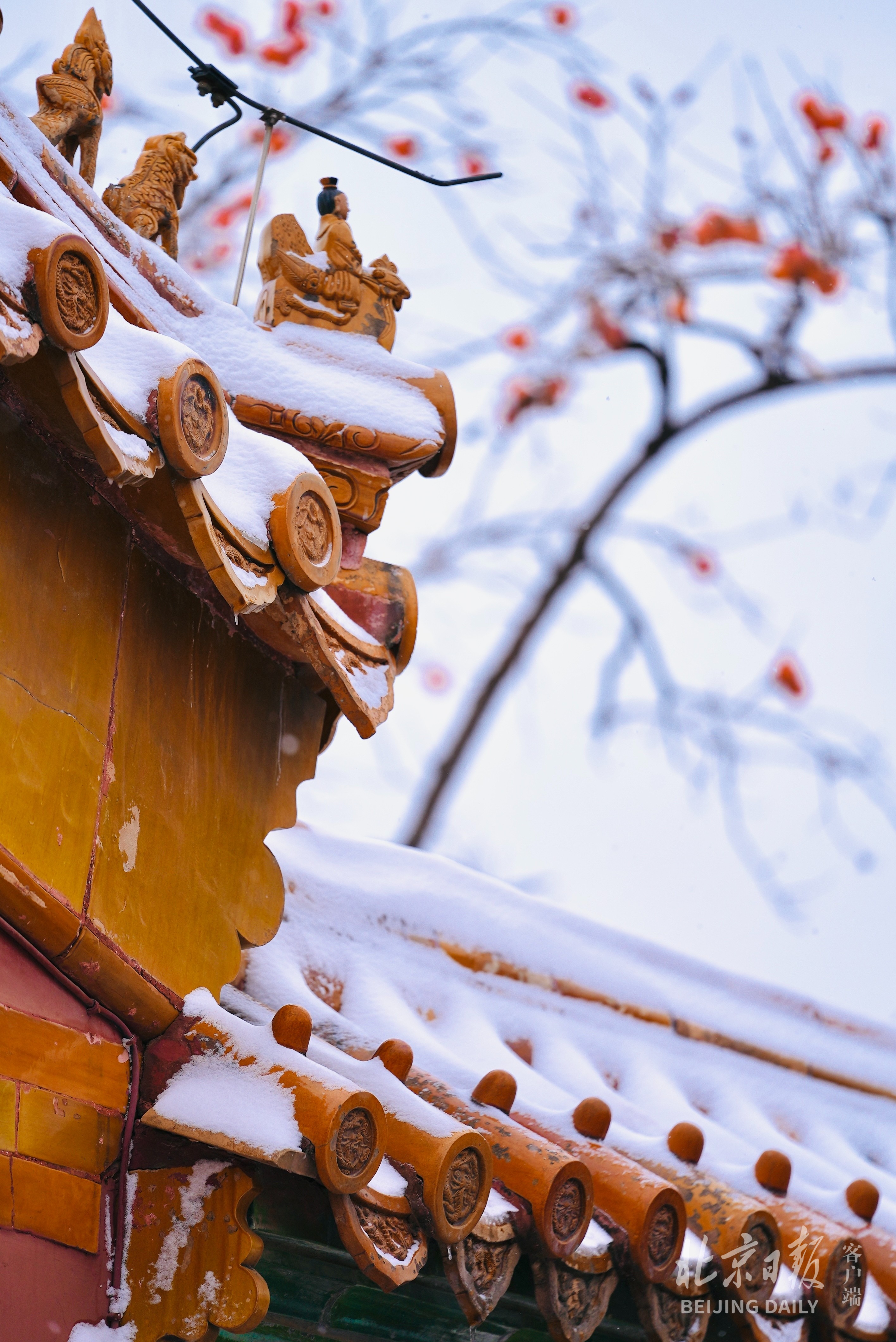 一夜梦回紫禁城今天的故宫雪景大片来了