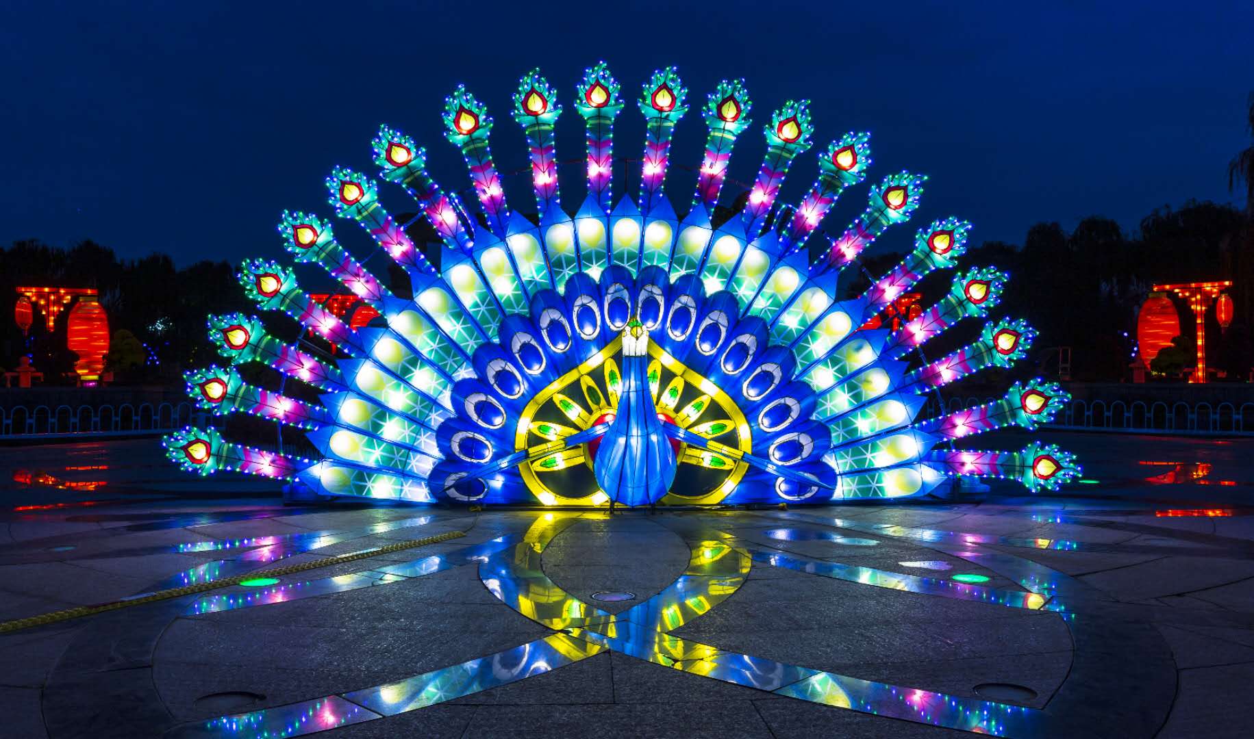 世界花卉大观园国潮夜游节