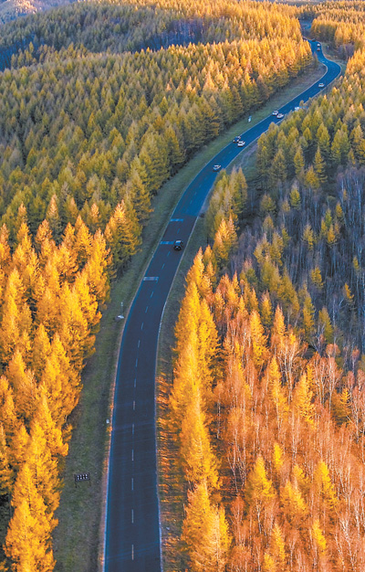 河北省承德市围场满族蒙古族自治县塞罕坝国家森林公园层林尽染。肖学平摄（影像中国）
