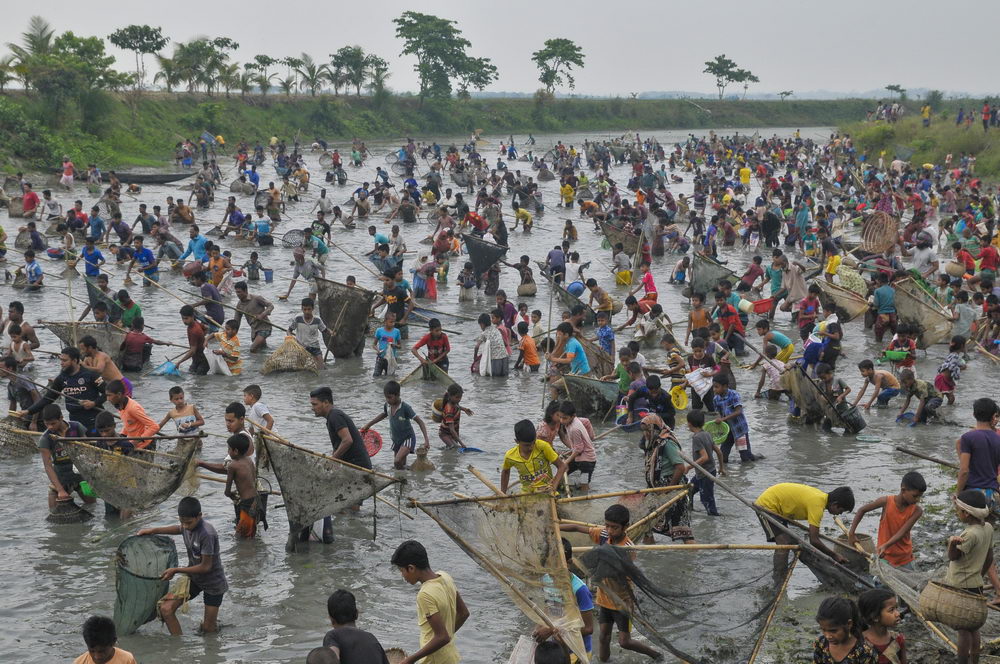 孟加拉国万人下河参加捕鱼节传统渔网怪异抓鱼效率却高