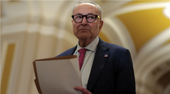 舒默 资料图 图自美媒