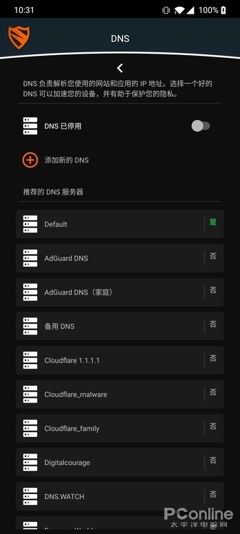 可以自定义DNS