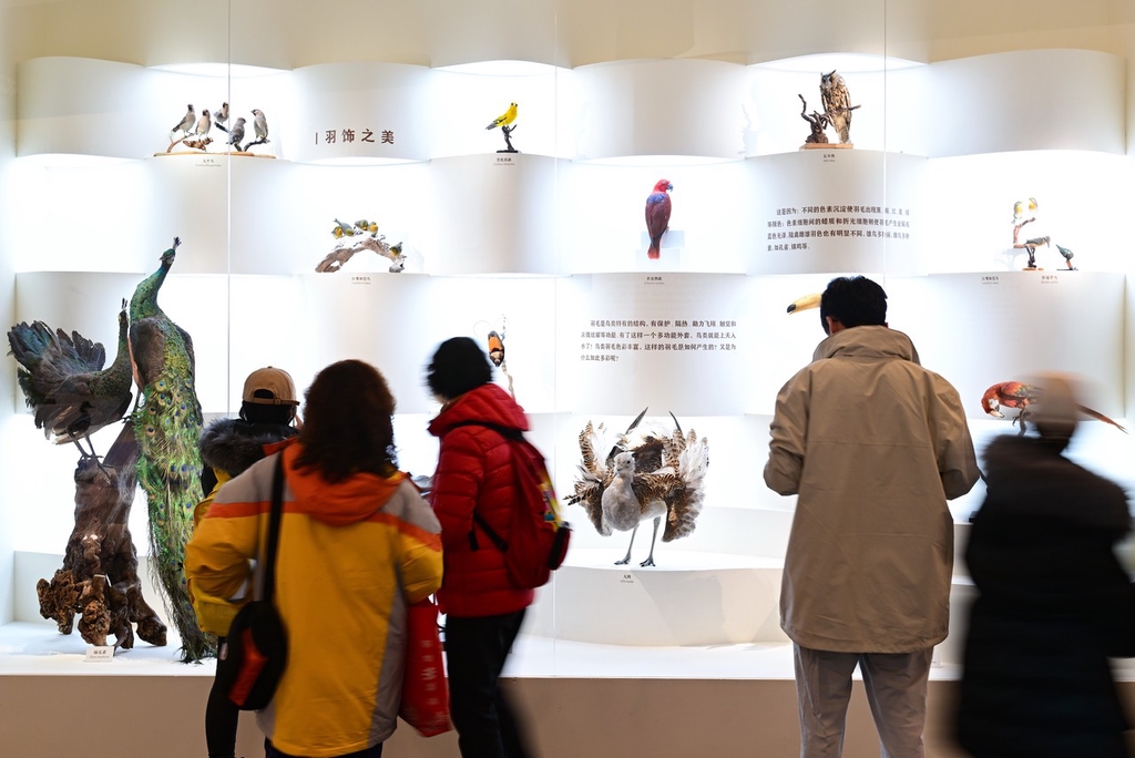 中国国家博物馆举办首个自然生态类展览