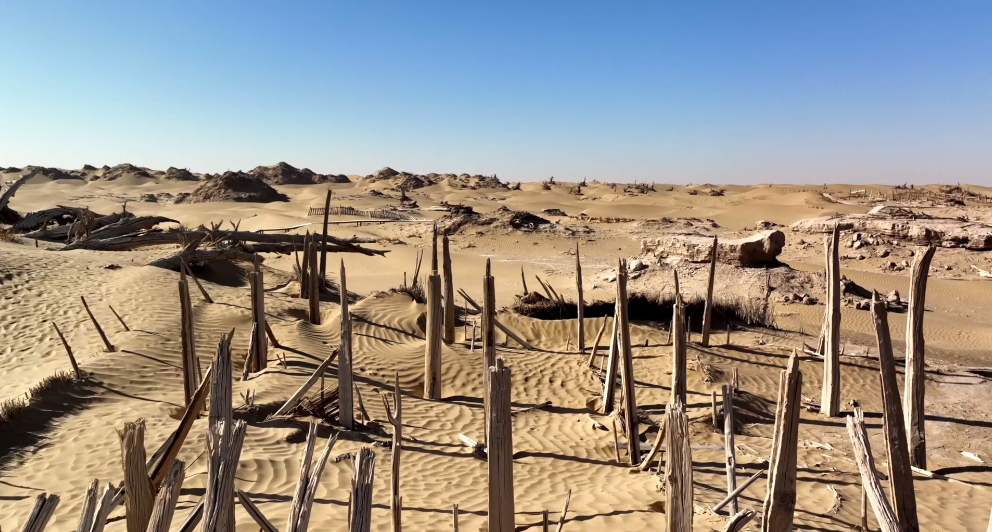 华为mate50系列助力探访尼雅遗址,揭秘精绝古城文化