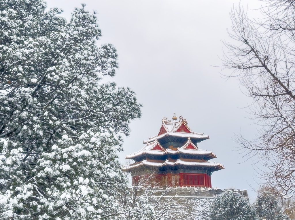 2023年12月11日,北京迎2023年冬季初雪,雪中故宫博物院角楼银装素裹