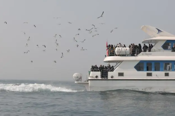 海葬船行驶在海面上(沈阳市民政局供图）