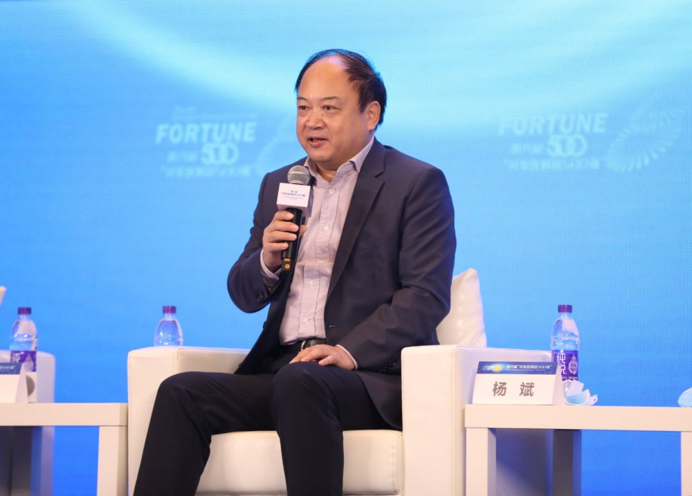 菲尼克斯(中国)投资有限公司副总裁杨斌