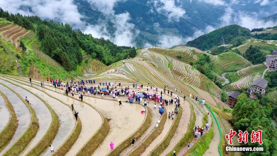 图为梯田拔河比赛。（无人机照片）图/CNSphoto 杨宗盛 摄