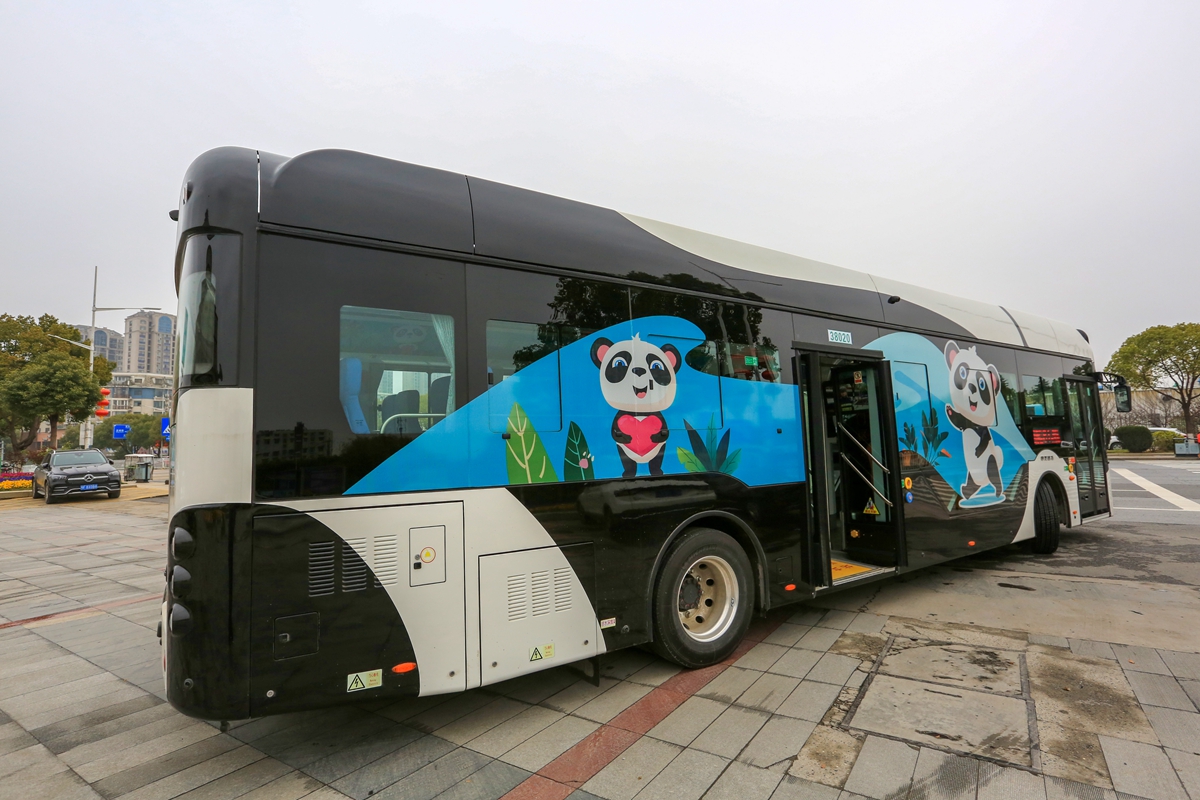 超萌！熊猫巴士在路上 成都全城偶遇国宝 - 四川 - 华西都市网新闻频道