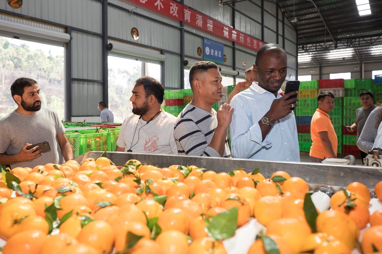 留学生参观新平县菜鸟上行物流中心