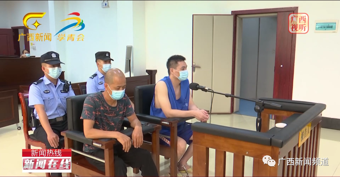 非法收购运输穿山甲鳞片,两男子被判刑