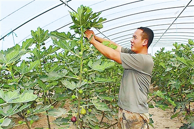 香港六今宝典