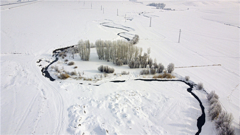 土耳其凡城迎来大雪白茫茫宛如童话世界
