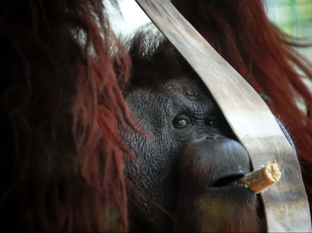 “森泰”有自己的“眼色”