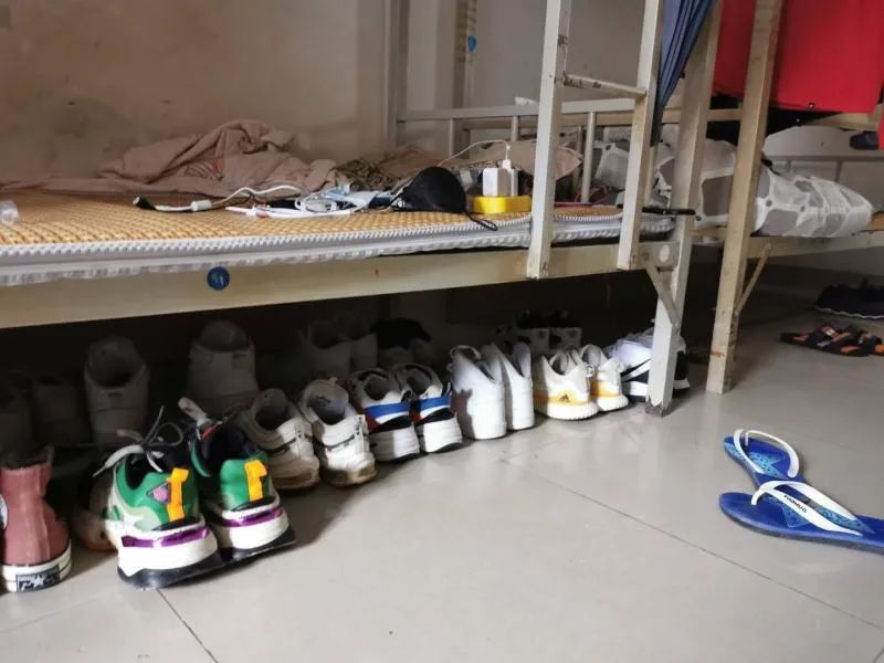 家门口的运动鞋离奇失踪，真相让人啼笑皆非