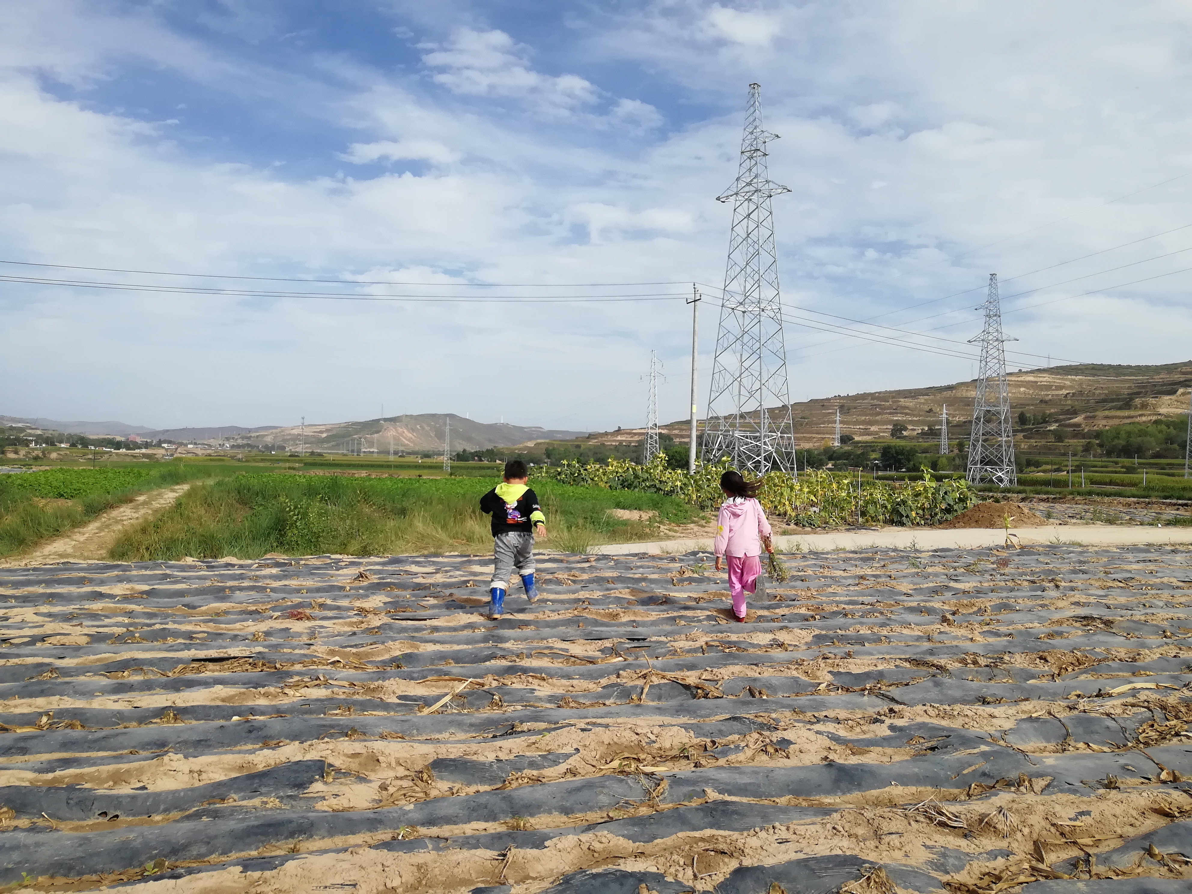 孩子们在田野中奔跑,四周满是芹菜