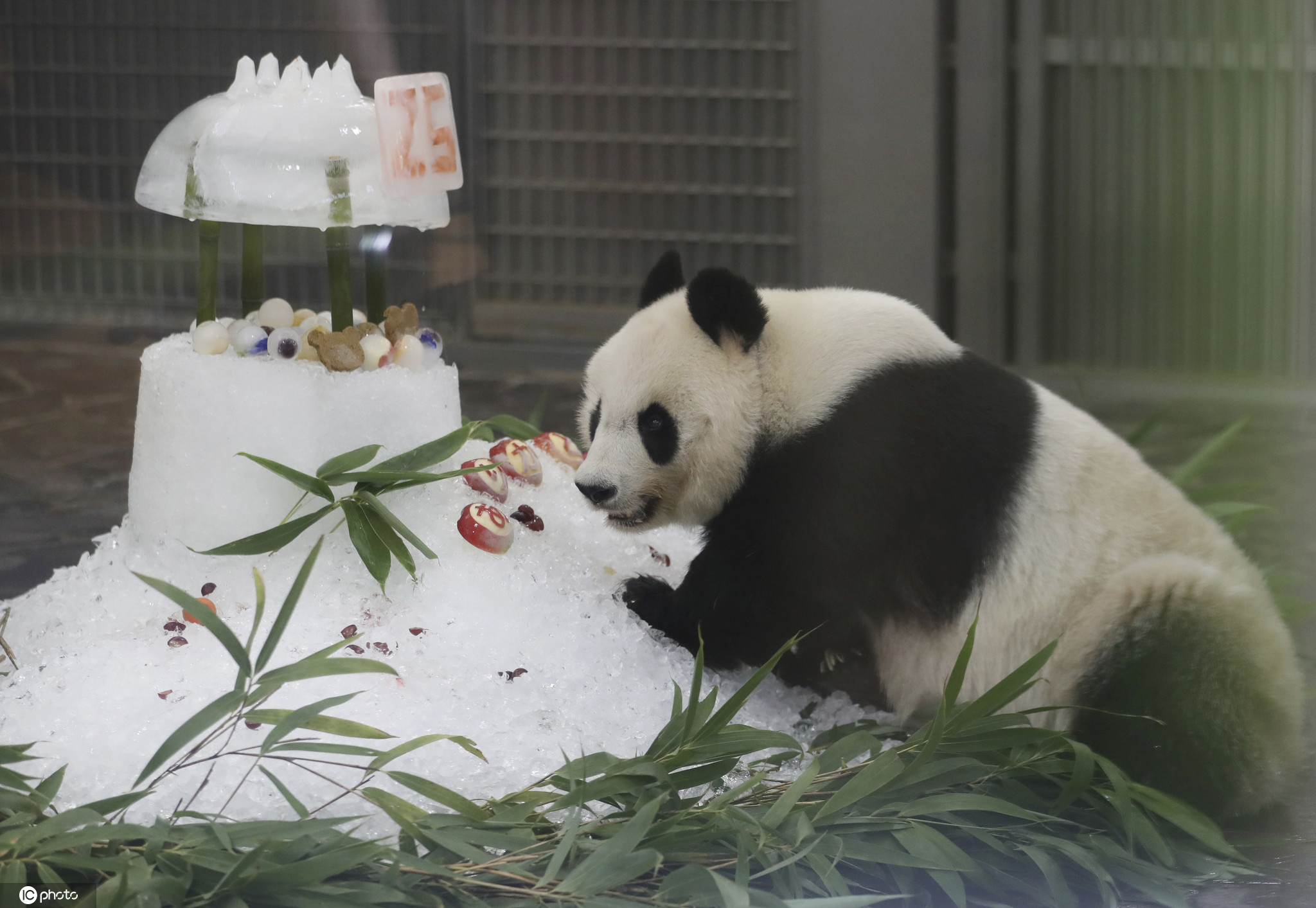 创意甜点心，功夫熊猫蛋糕~-美食视频-搜狐视频