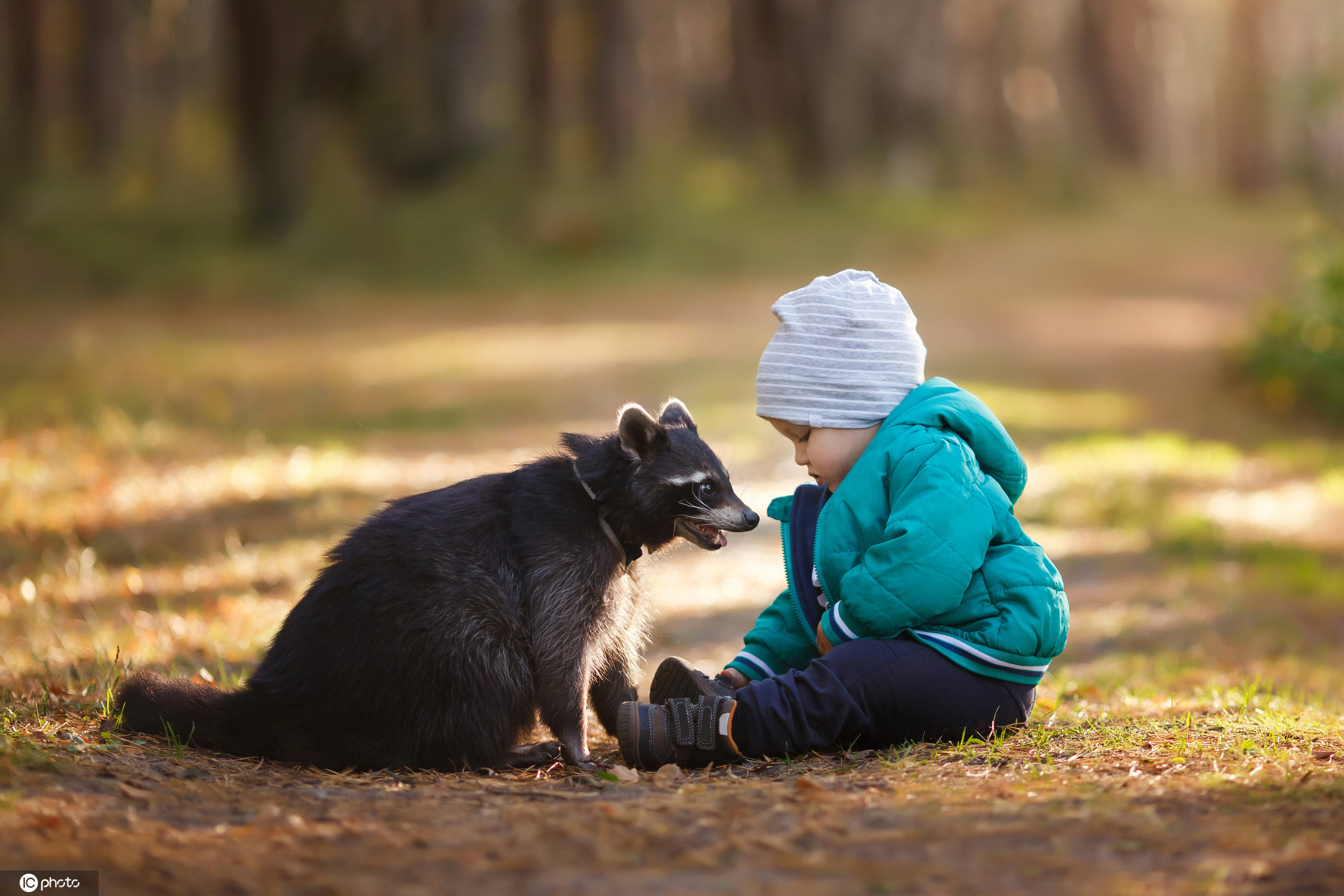 儿童节当萌娃遇上萌宠温馨相处画面十分有爱