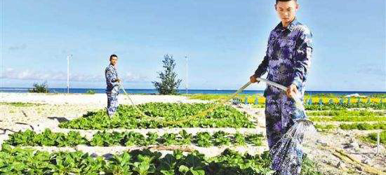 中国海军在西沙海滩成功种菜的意义