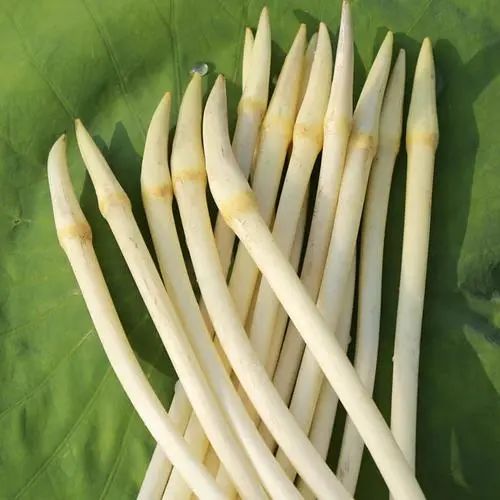 长沙男子赶早采藕尖抓小龙虾结果深陷荷塘2小时