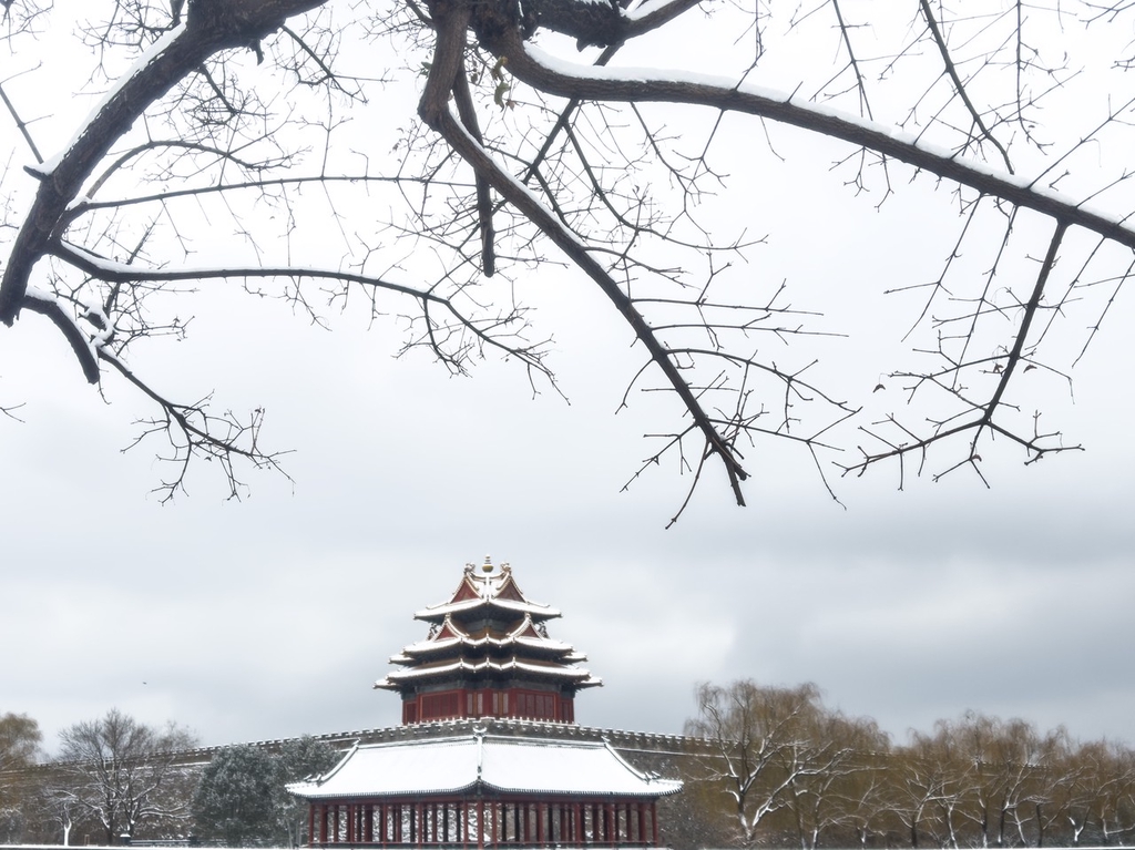 2023年12月11日,北京迎2023年冬季初雪,雪中故宫博物院角楼银装素裹