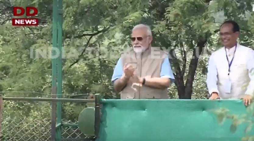 印度总理莫迪17日在库诺国家公园主持了猎豹放生活动。图片来源:印度媒体“今日印度”