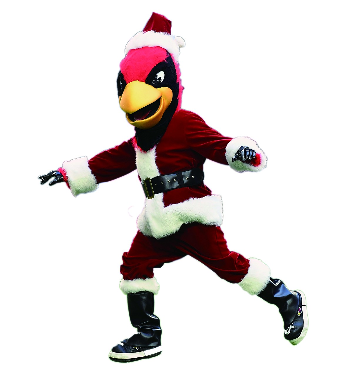 nfl亚利桑那红雀队的吉祥物.