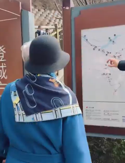 梅耶·马斯克在长城游览时的画面 图源:梅耶·马斯克社交平台账号视频截图