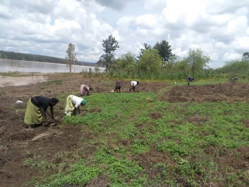 卢旺达遭遇洪水灾害，盒马村成最早复苏耕种地区