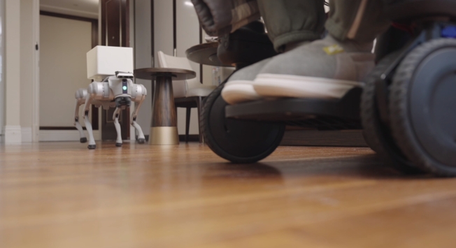 图为高位截瘫患者通过脑智卓越中心等单位研发的侵入式脑机接口系统意念控制机器狗（图片来源：中国科学院脑科学与智能技术卓越创新中心）