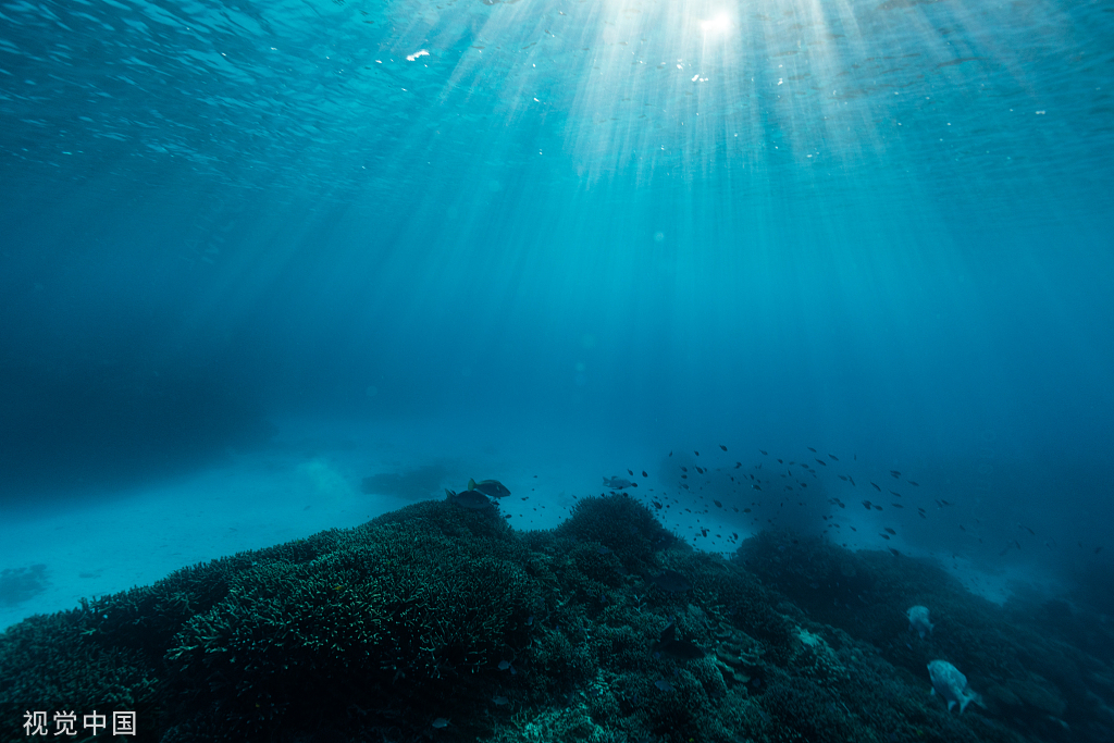 海底海山图片