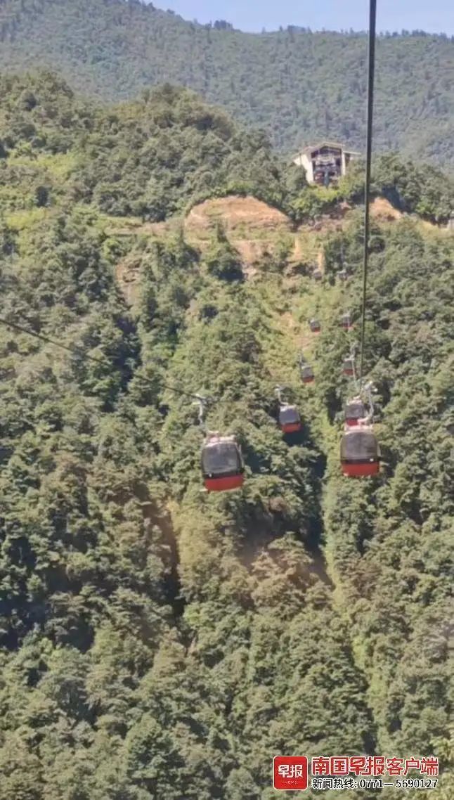 ▲8月13日，景区索道骤停。视频截图