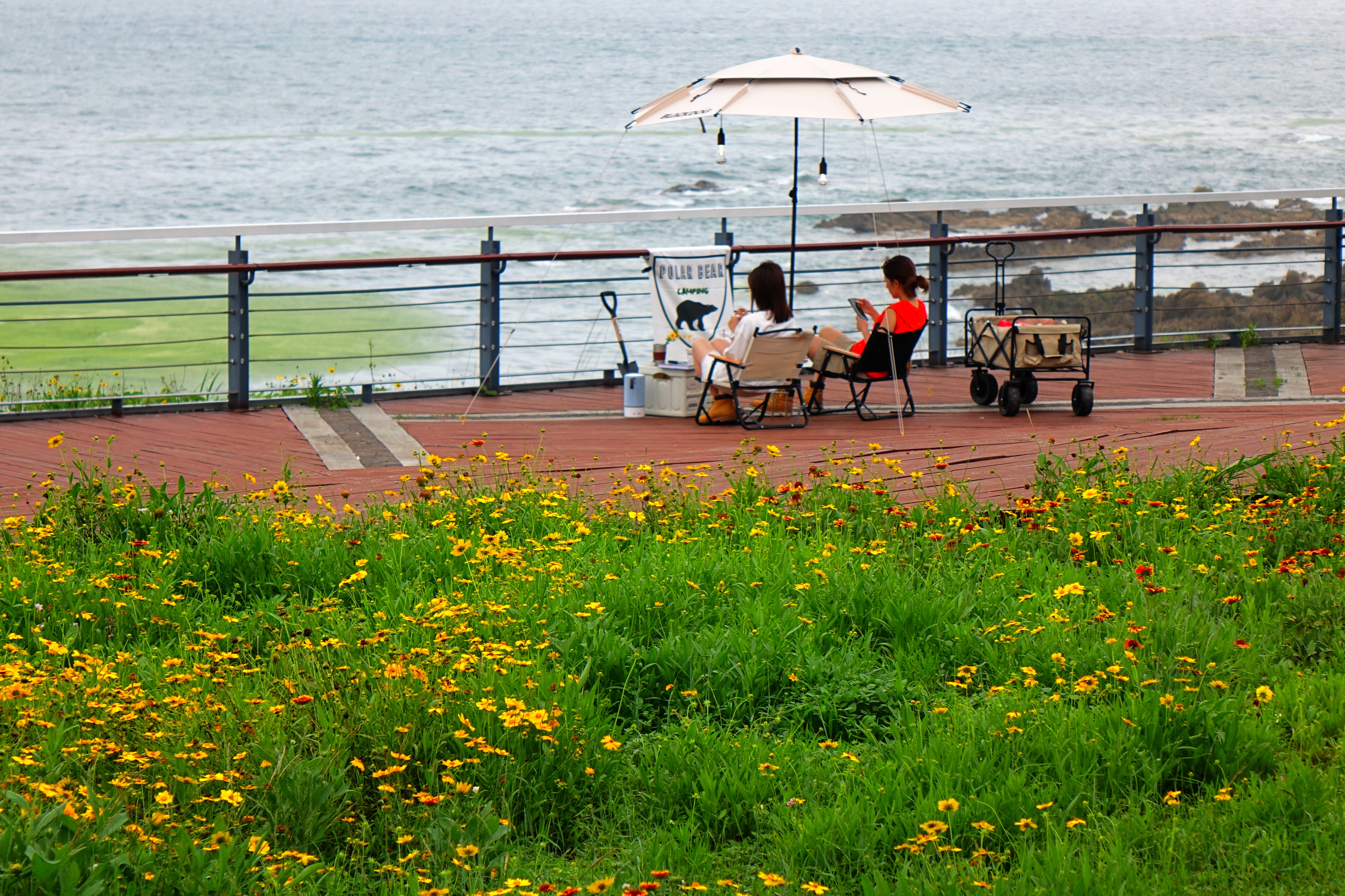 盛夏时节山东青岛海滨美景如画