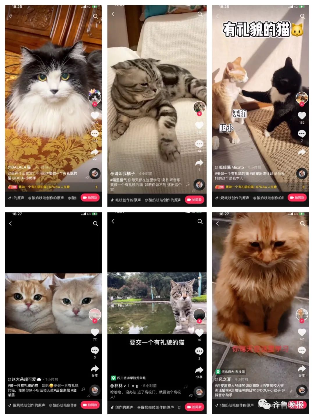 笑喷!高校猫咪遭大爷“训话”:学习读书,还要有礼貌!