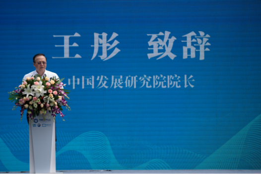 中国发展研究院院长王彤 致辞