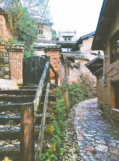 昆明乐居村一瞥.张朝凤/图