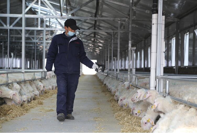 图片来源:受访单位授权发布