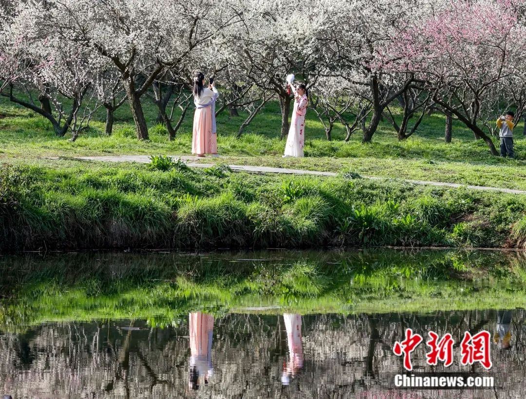 游客在东湖樱园赏樱 张畅 摄