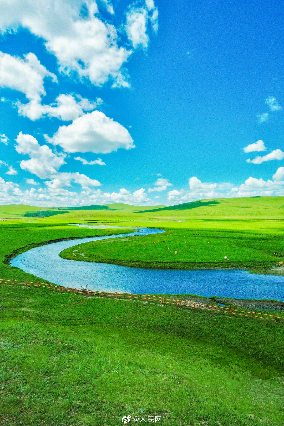 夏日限定 满眼青翠 草原壁纸上新