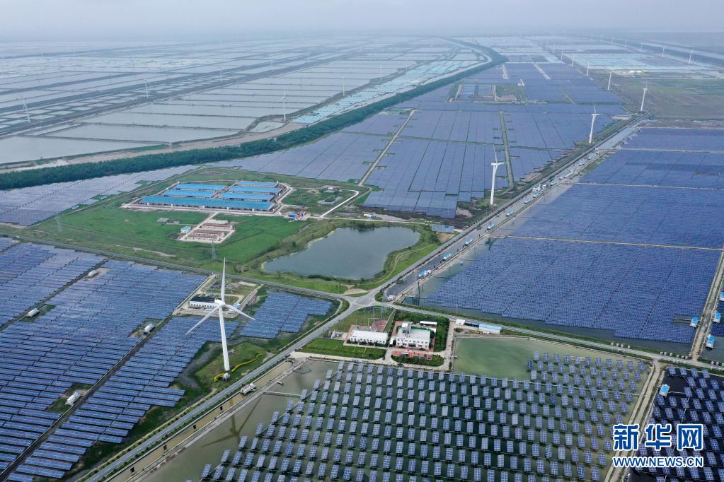 江苏东台风光渔互补构建生态滩涂产业