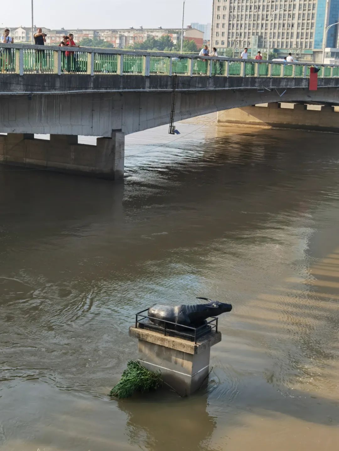 周口防汛视频调度会上传来最新消息3到5天