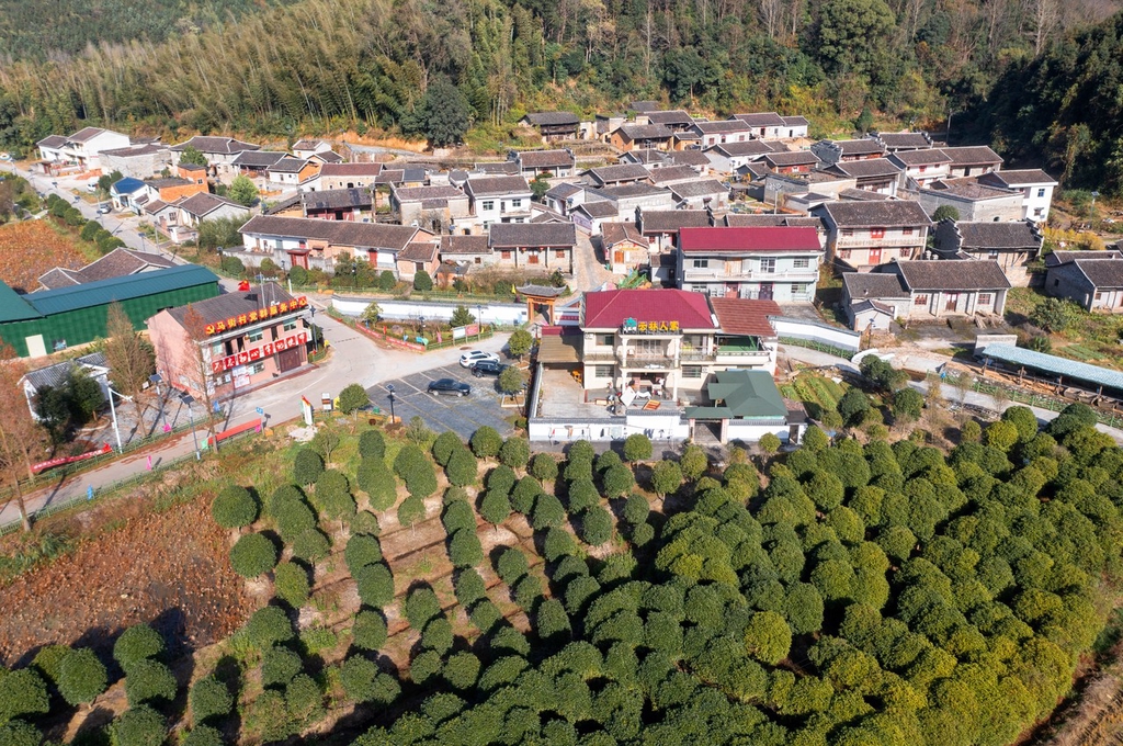 江西金溪:生态山村冬韵美