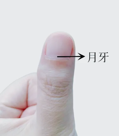 不知道你有没有留意过指甲上白色的小月牙?