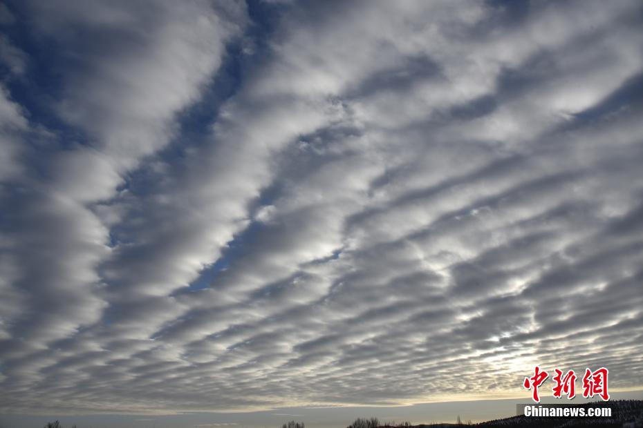 内蒙古赤峰现"鱼鳞云"景观